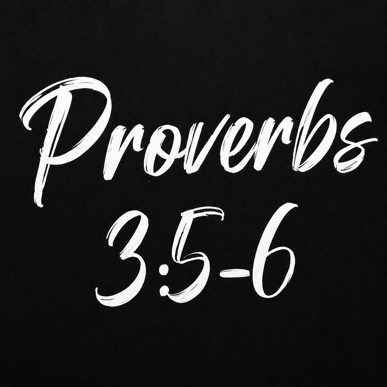 Proverbs 3:5–6 Premium Faith Hoodie – Black Edition